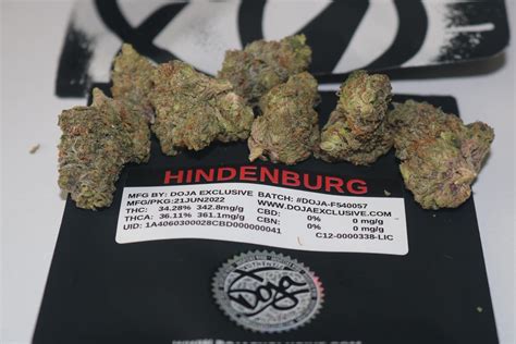 Six Friendly Farms’ <b>strains</b> placed in the top 10 of the 2018 Emerald Cup. . Doja hindenburg strain